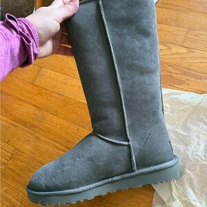 New in box Ugg classic tall boots